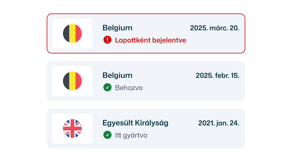 Lopott jármű ellenőrzése